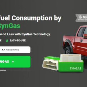 SynGas OBD Fuel Saver Germany
